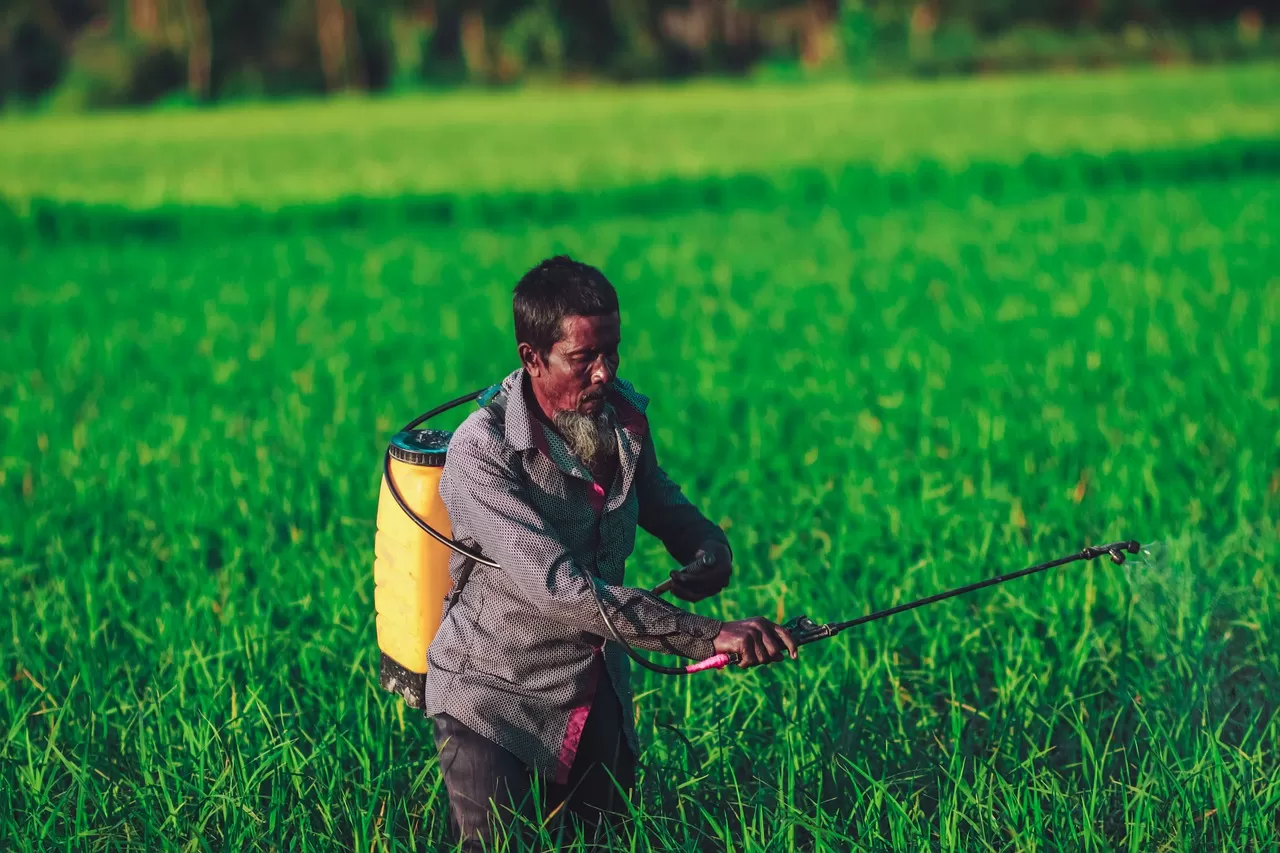 5 Cara Mengatasi Kekeringan dalam Lahan Pertanian