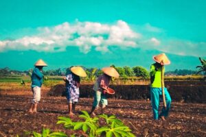 Pentingnya Ilmu Pertanian dalam Perannya Untuk Bangsa